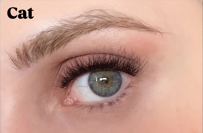 Amorra™ - Sihirli Kirpik